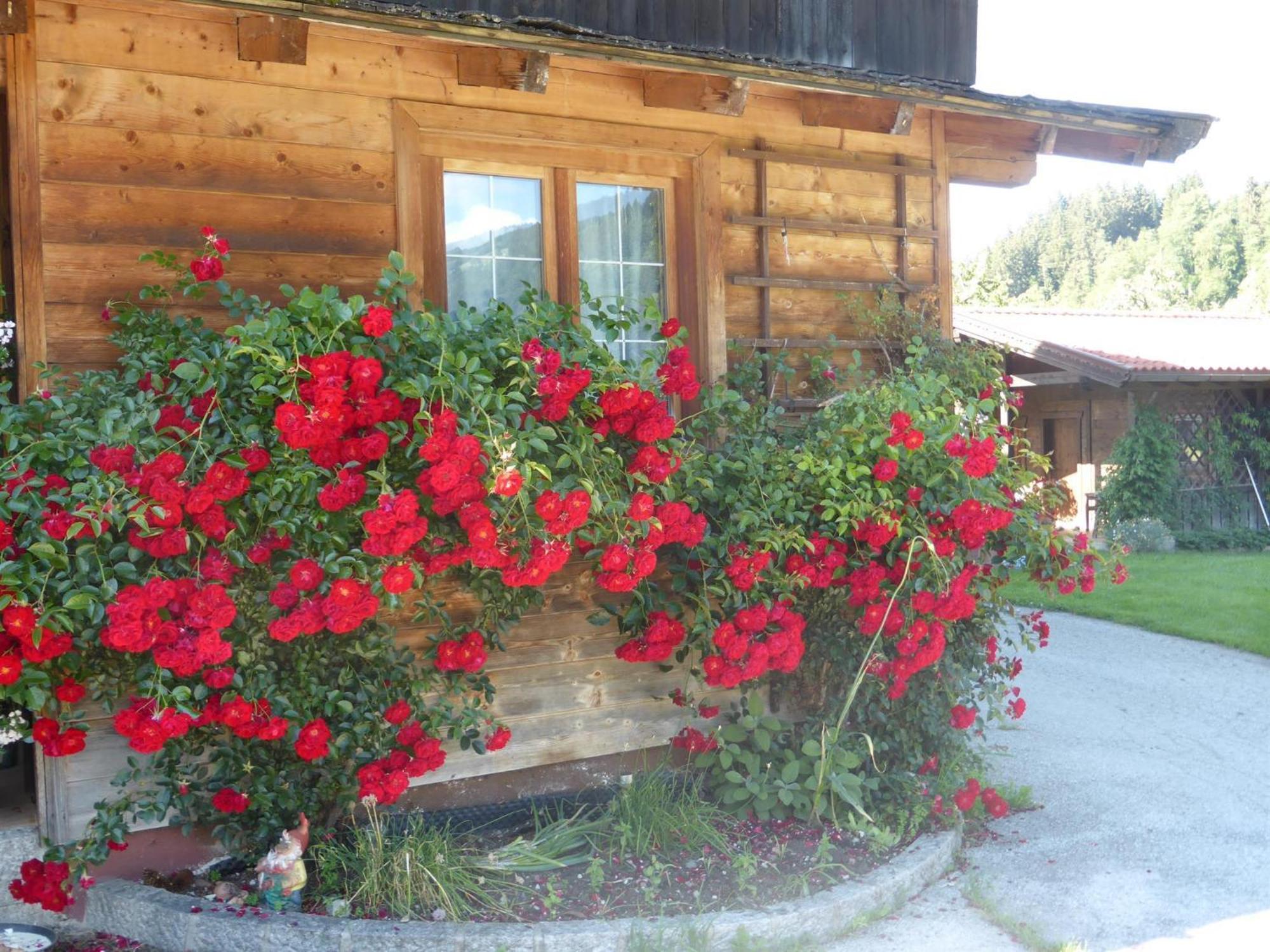 Schwaighof Oberau Exterior foto