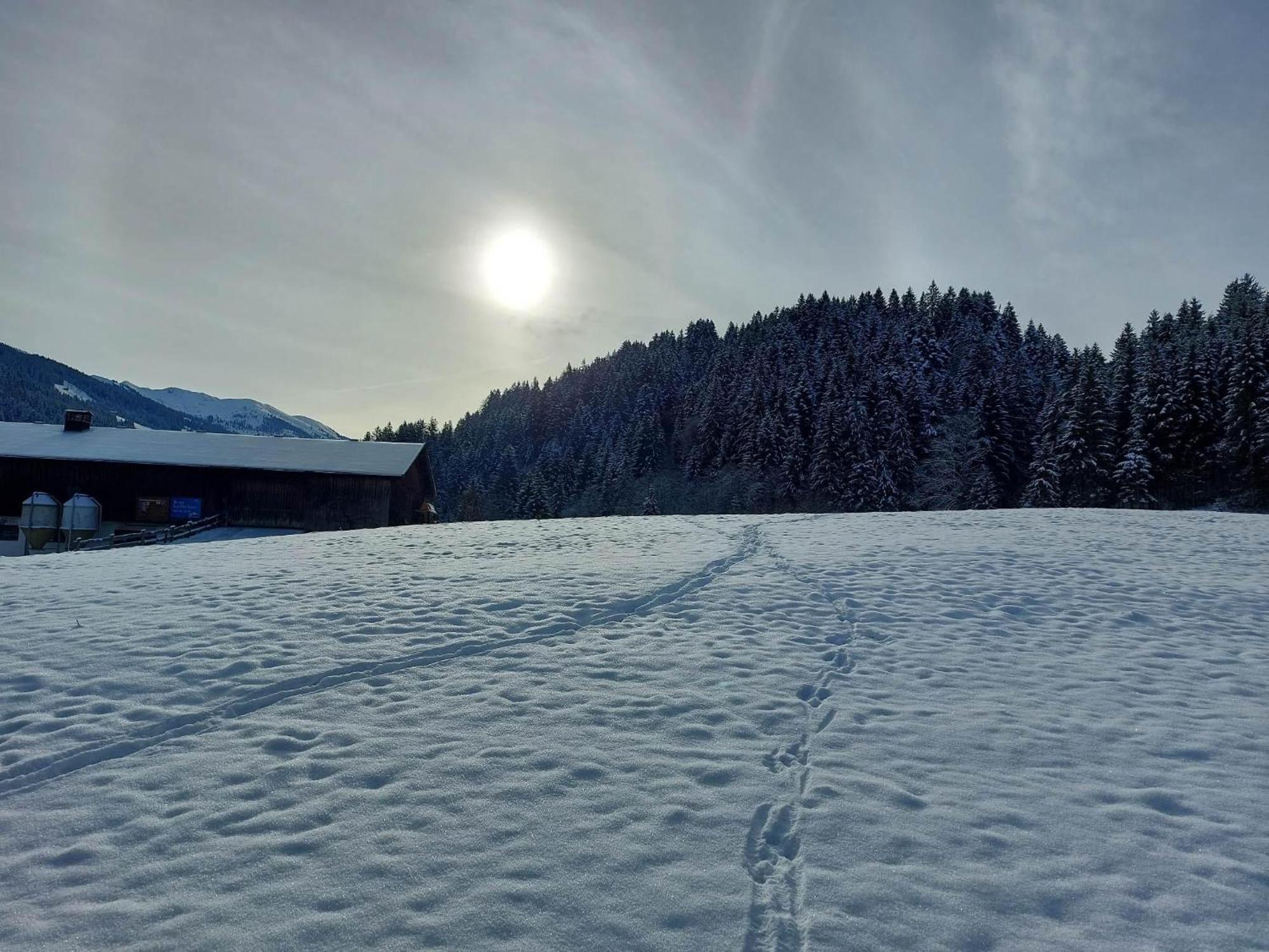 Schwaighof Oberau Exterior foto